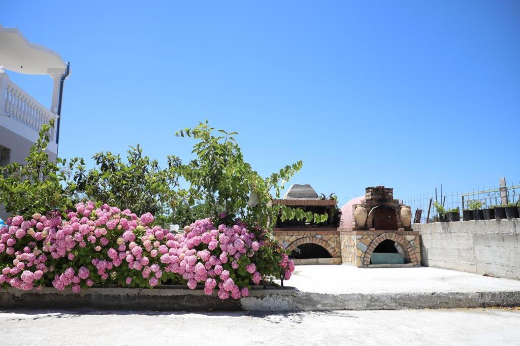 Narta Homestay Vlore
