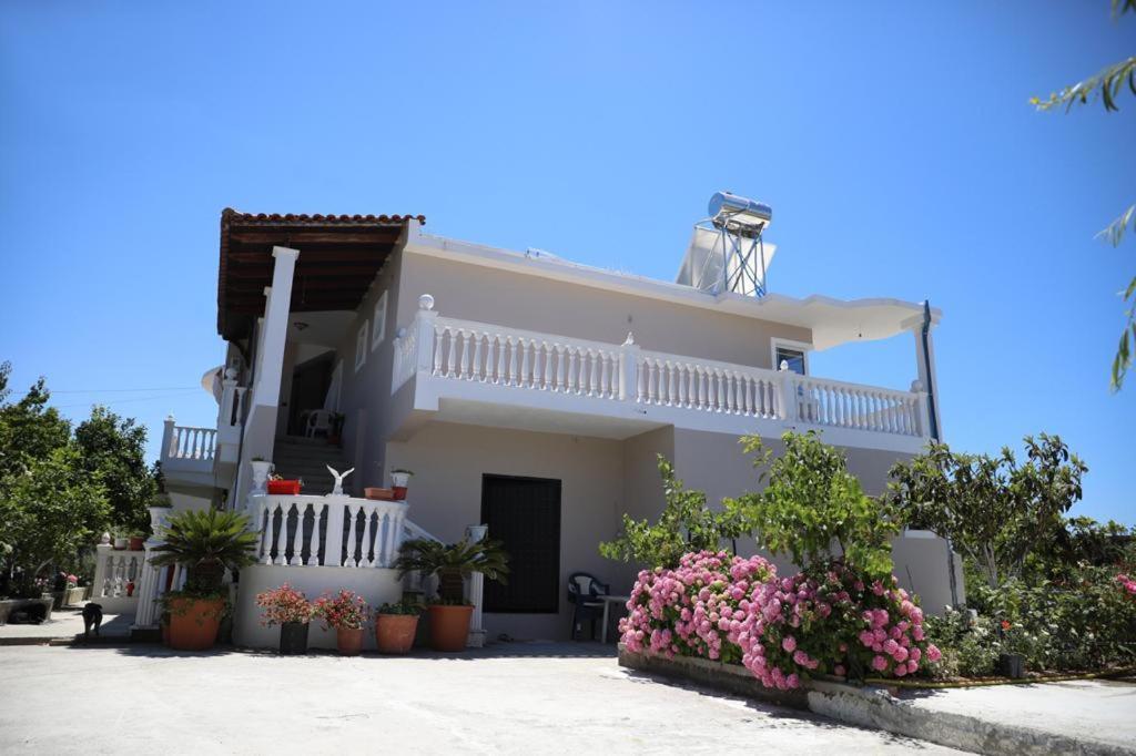 Narta Homestay
