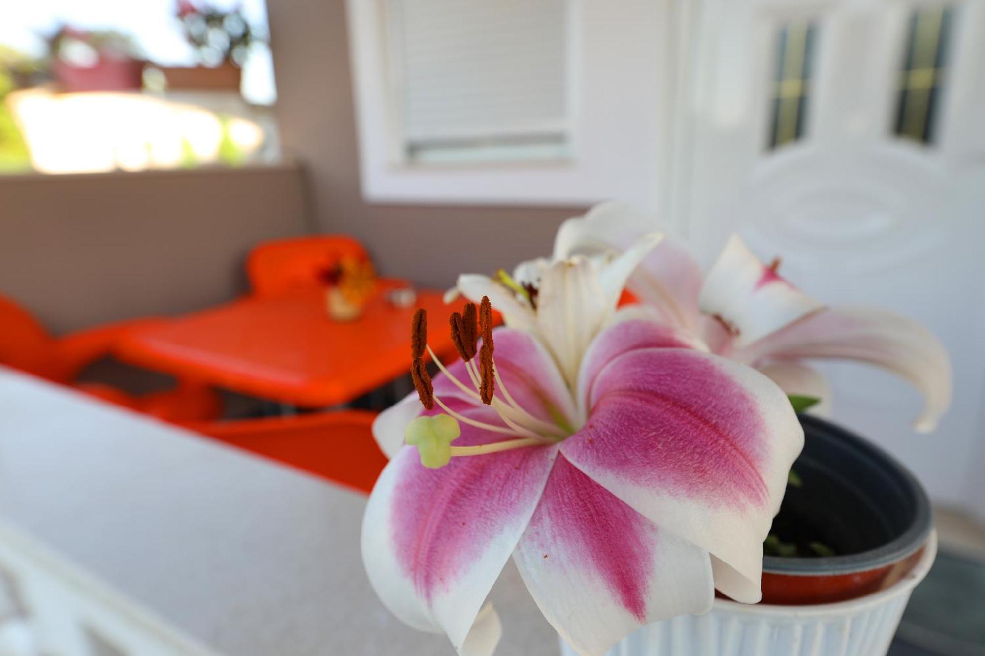Homestay szállás Narta *